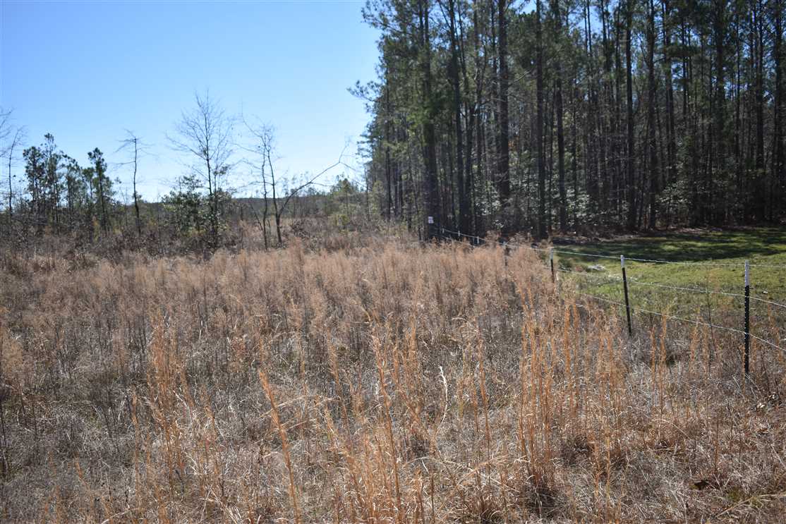 Houses and land for sale in Arkansas