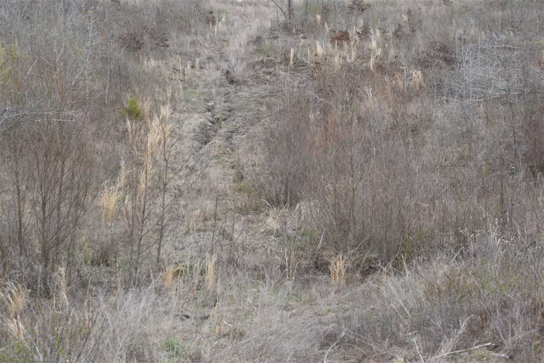 80 Acres of Land for sale in hempstead County, Arkansas