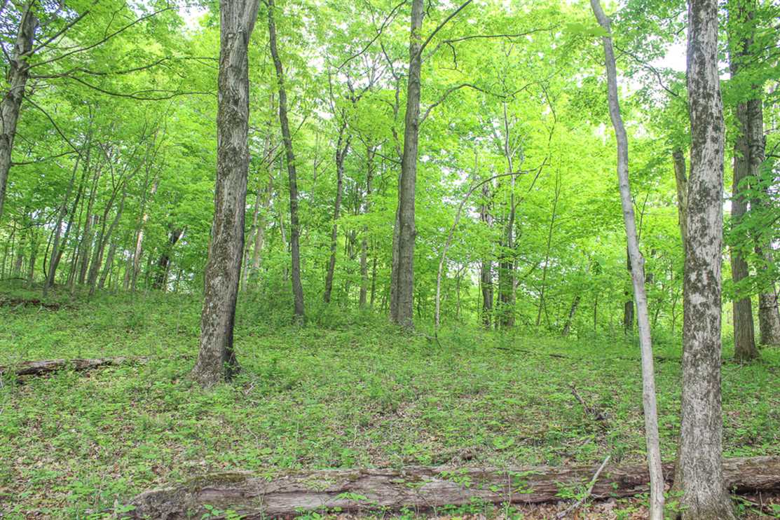 87.44 Acres of Recreational land for sale in Reedsville, meigs County, Ohio