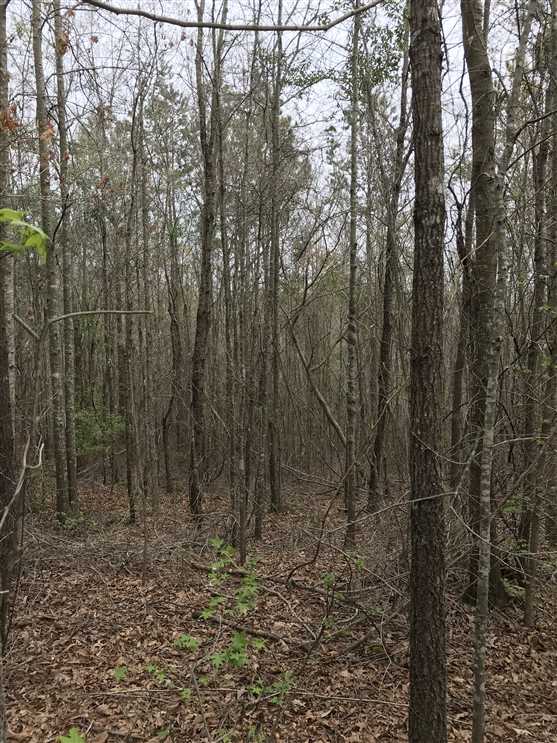 Recreational real estate available to buy