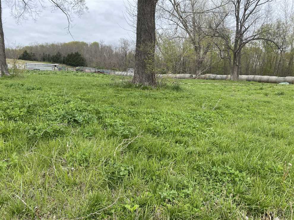 6 Acres of Land for sale in ray County, Missouri