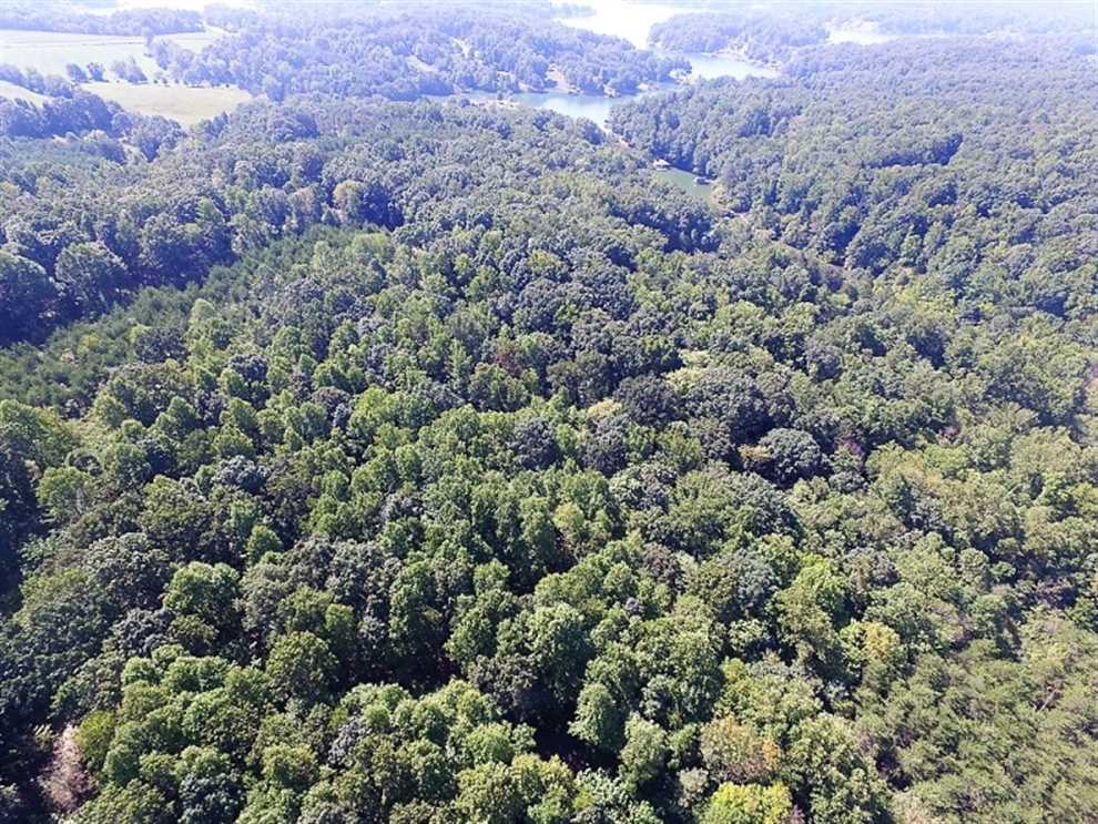 Land for sale at Isle Of Pines Road