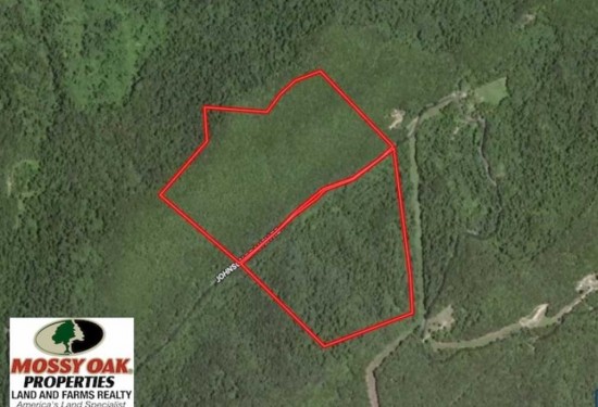 73 Acres of Land for Sale in tazewell County Virginia