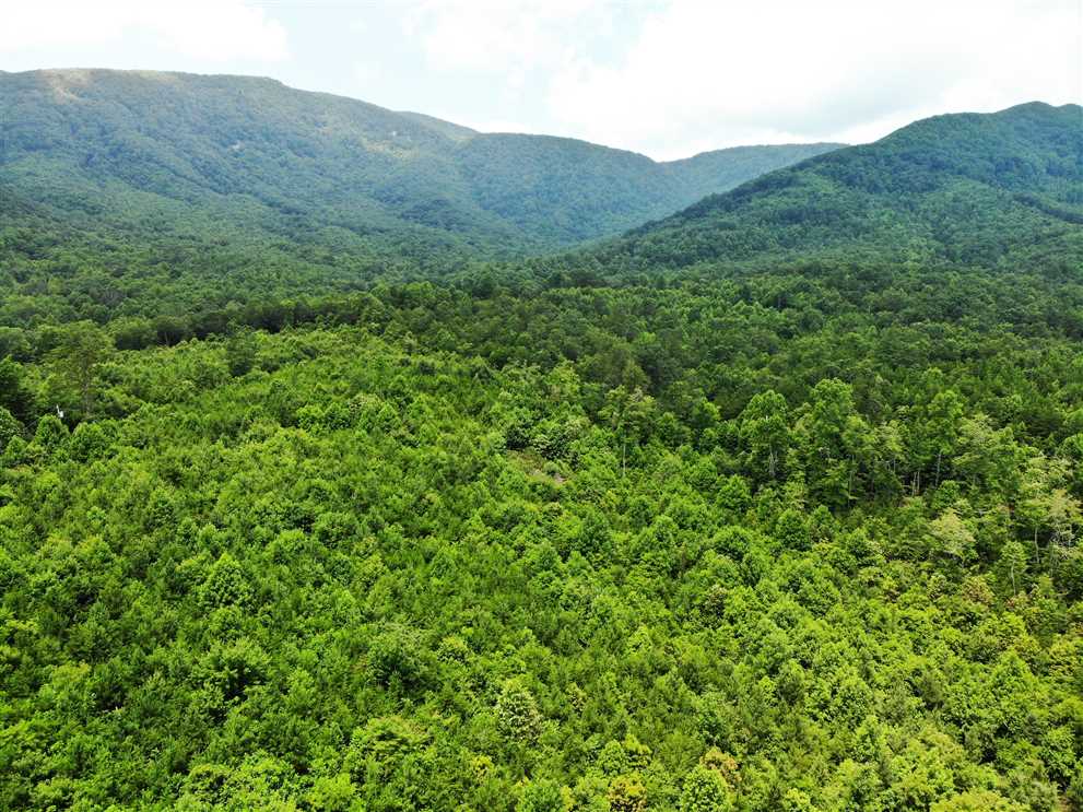 surry County, North Carolina property for sale