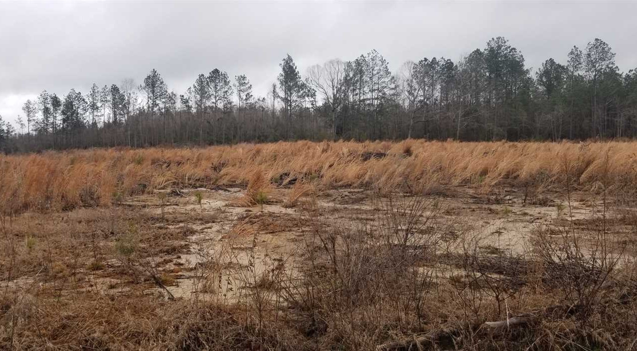 Land for sale at Old Gansville Road