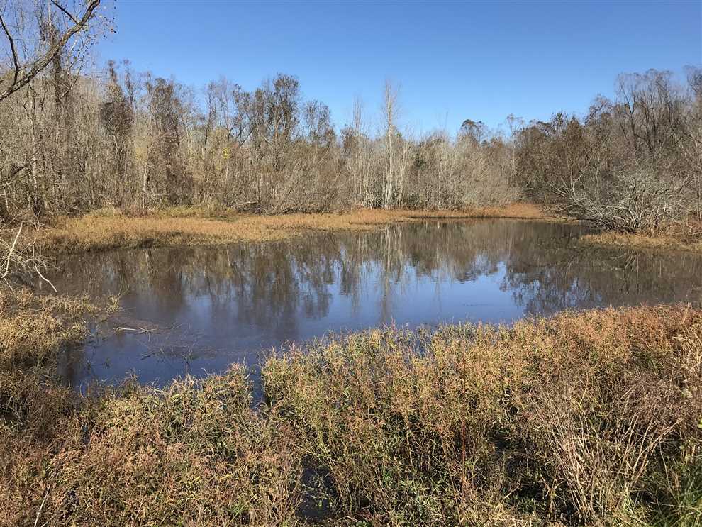 chickasaw County, Mississippi property for sale