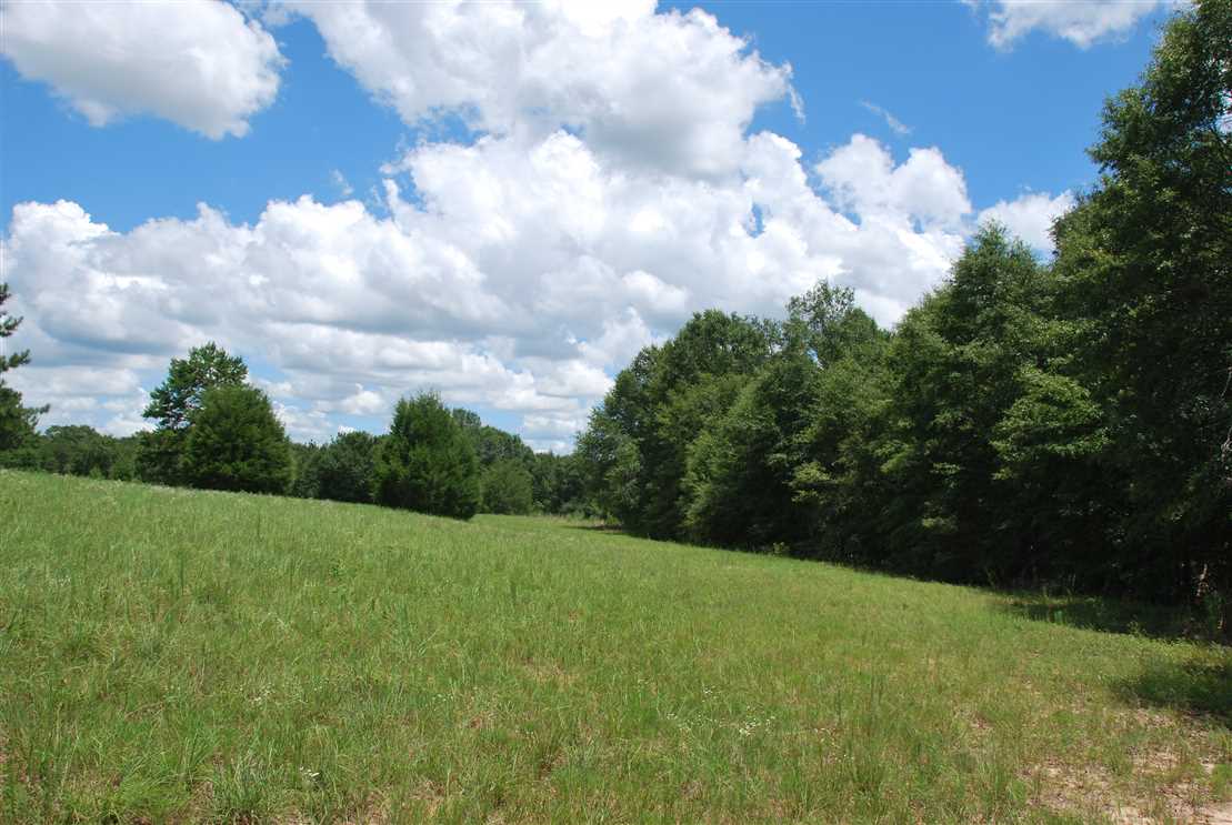 194 Acres of Recreational land for sale in Enterprise, dale County, Alabama