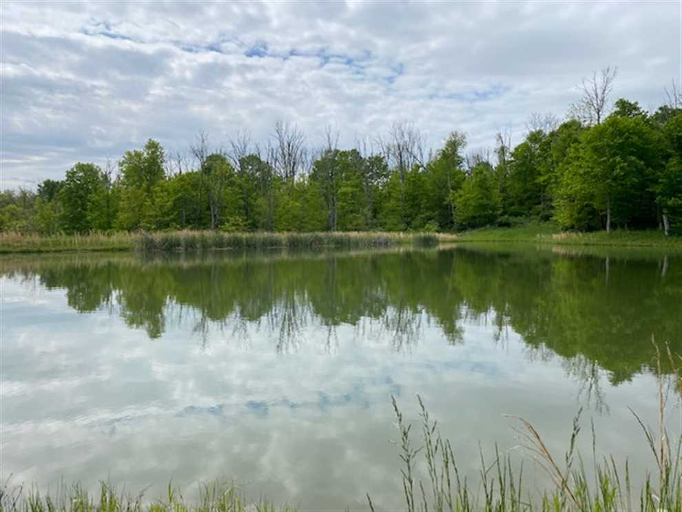 141 Acres of Land for Sale in ohio County, Indiana