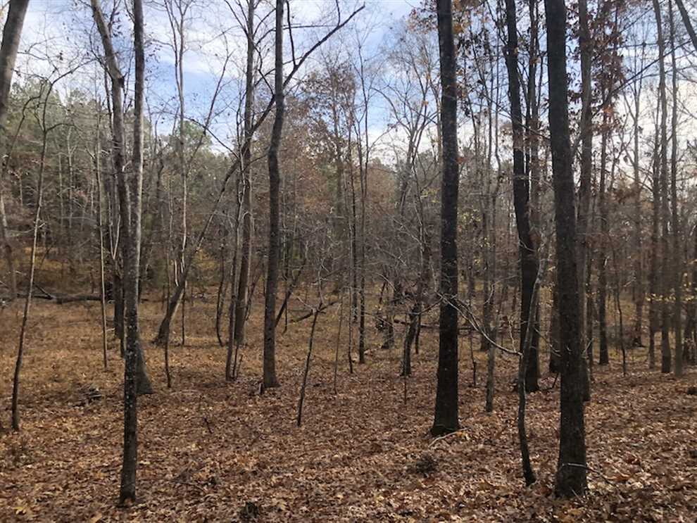 Land for sale at Off SC 34/Mt. Hope Road
