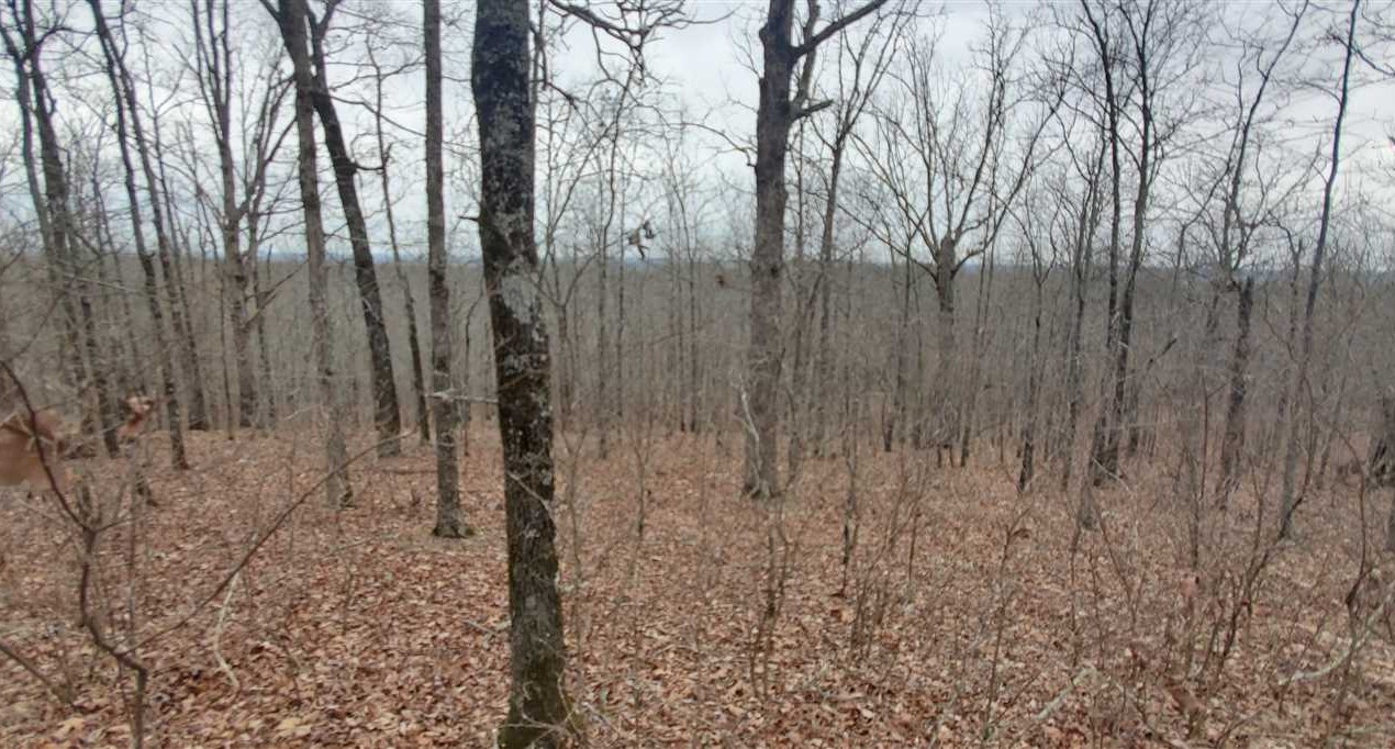 Property for sale at