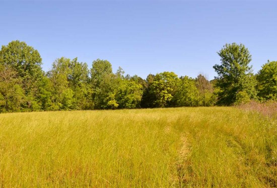 7 Acres of Land for Sale in montgomery County Alabama