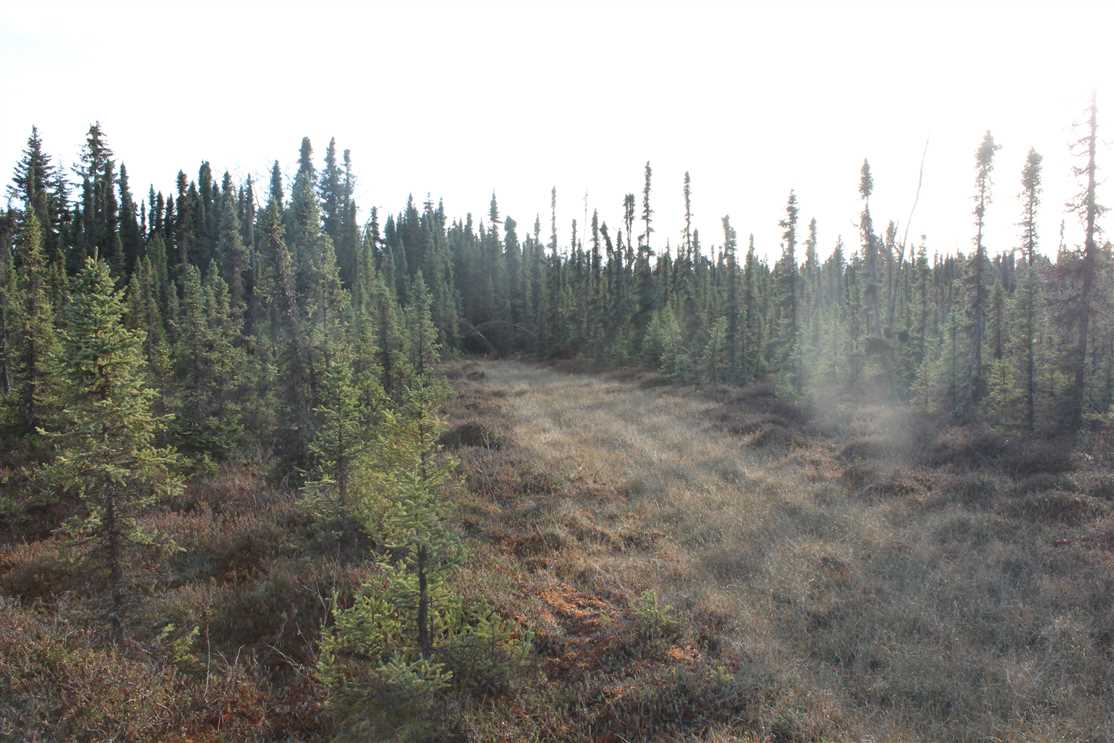 Close to fishing on Kenai River Real estate listing