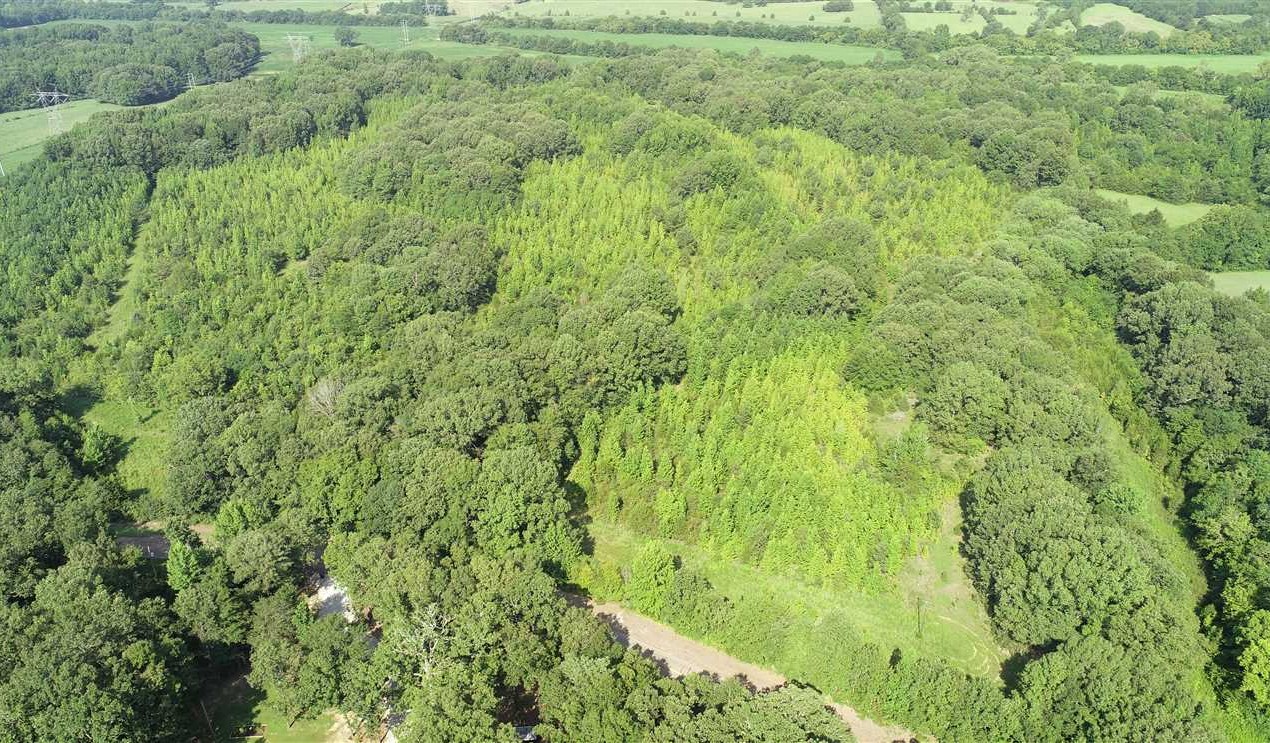 Recreational land real estate to buy in lee County MS