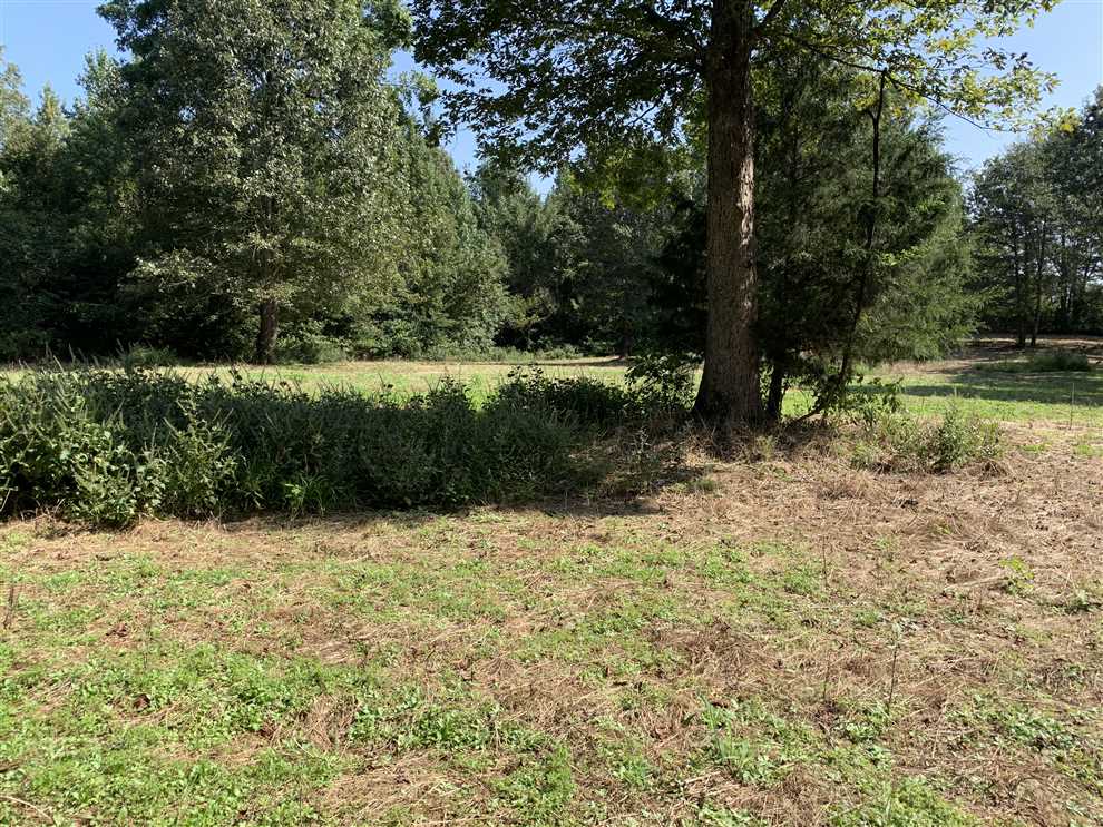 cleveland County, Arkansas property for sale