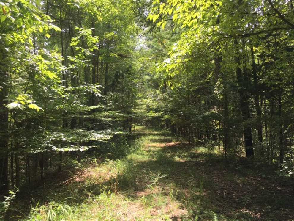 Land for sale at Macedonia Rd