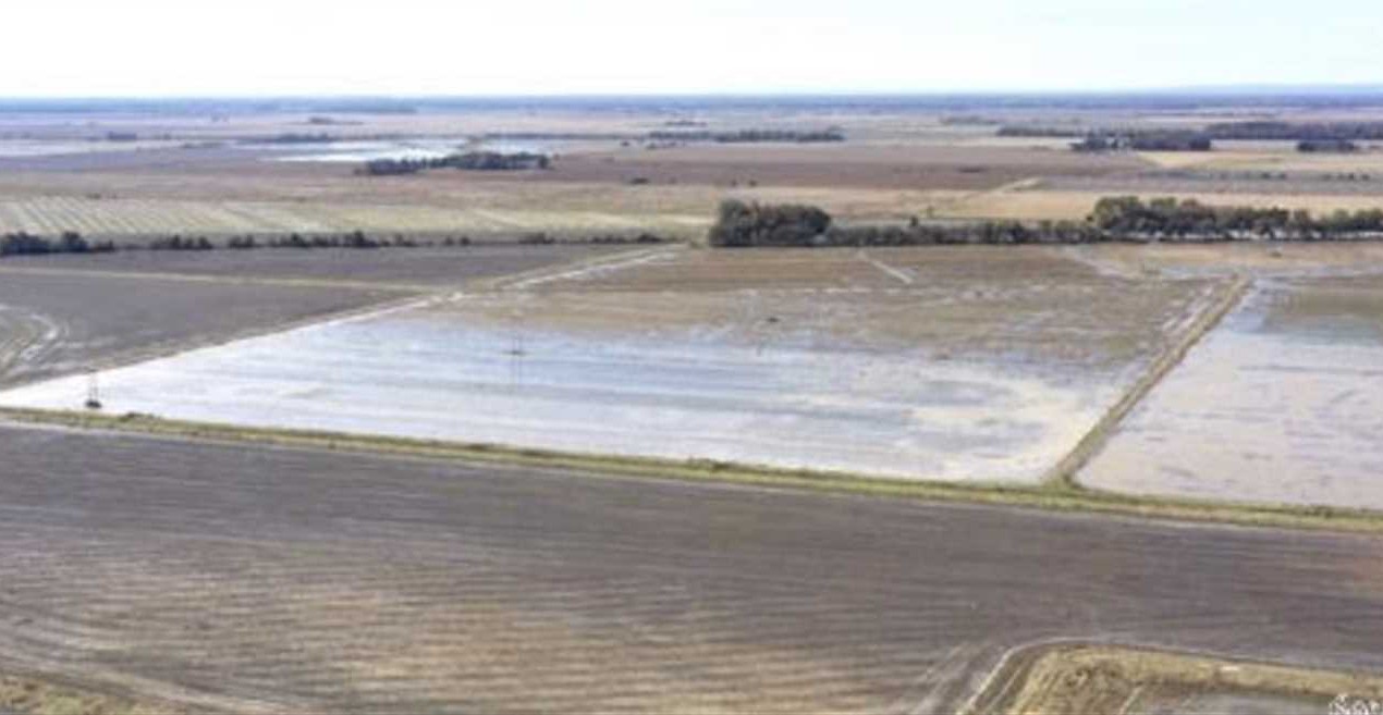 681 +/- Incredible Row Crop Farm, Excellent Duck Hunting, Great Farm Income, Poinsett County, AR Real estate listing