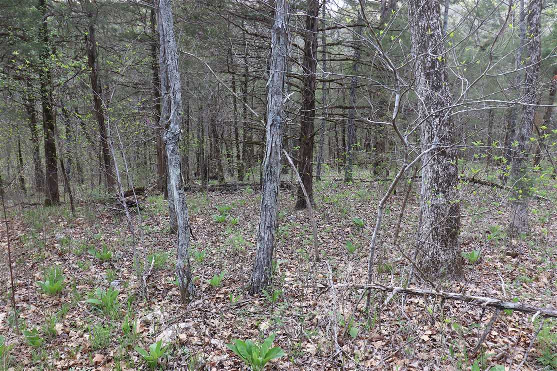 Timberland real estate available to buy