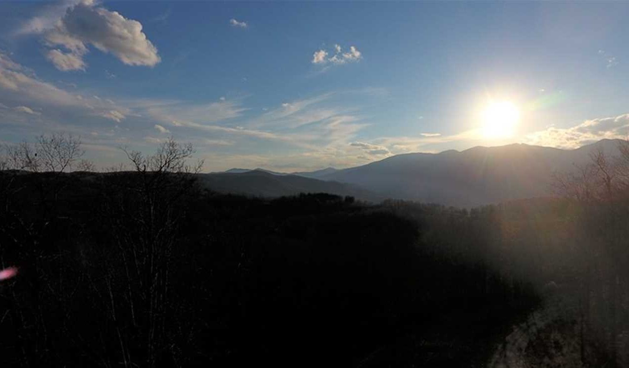 7+/- Acres in Burnsville! Home Site with a View! Real estate listing