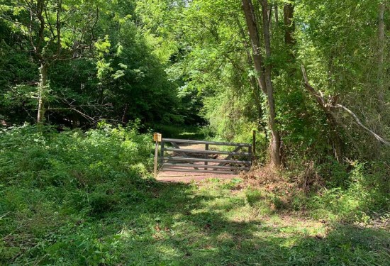 13.77 Acres of Land for Sale in randolph County North Carolina