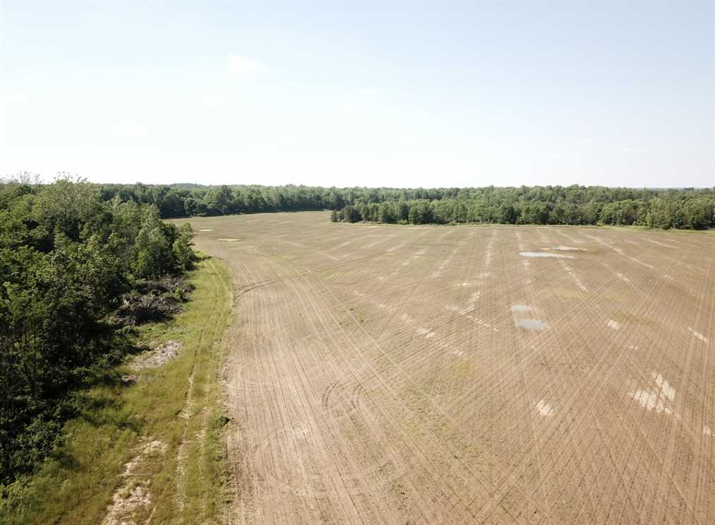 92 Acres of Recreational land for sale in Clay City, owen County, Indiana