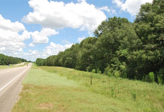 194 Acres of Land for Sale in dale County Alabama