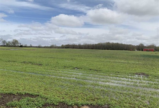 170 Acres of Land for Sale in woodruff County Arkansas