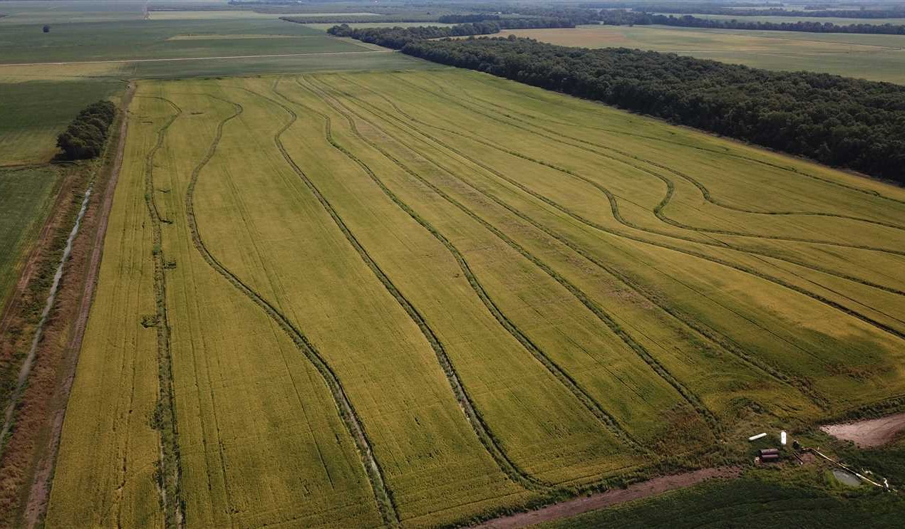 1359 Acres of Land for Sale in quitman County Mississippi