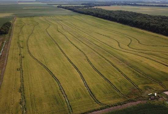 1359 Acres of Land for Sale in quitman County Mississippi