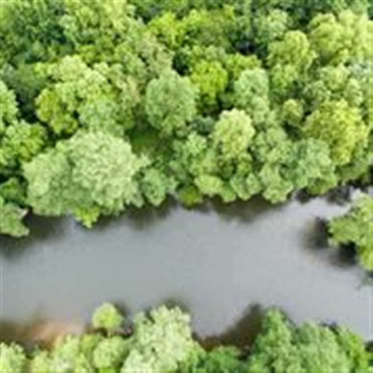 Land for sale at 1000 Wild Goose Lanne