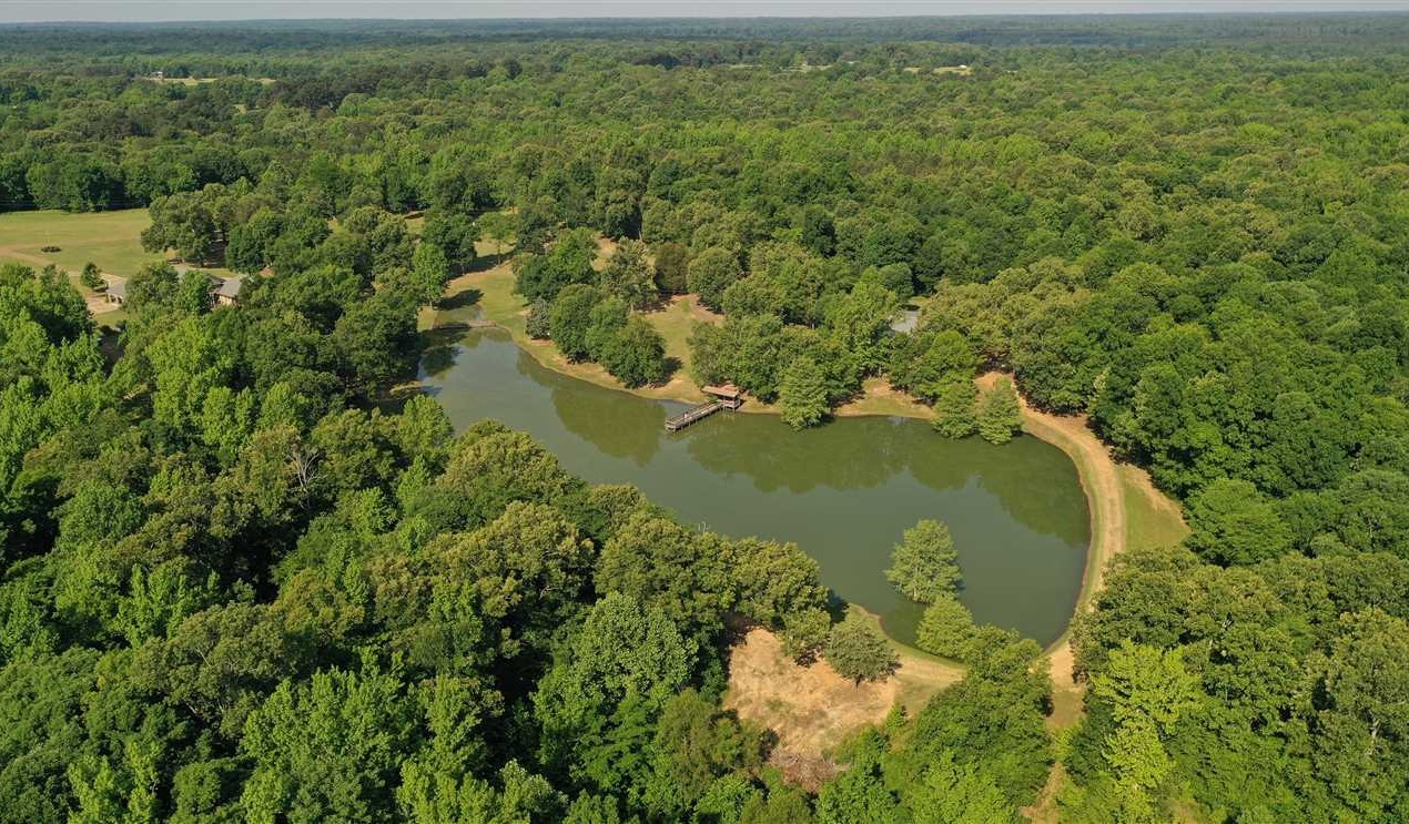 Land for sale to buy in 38666 zip code