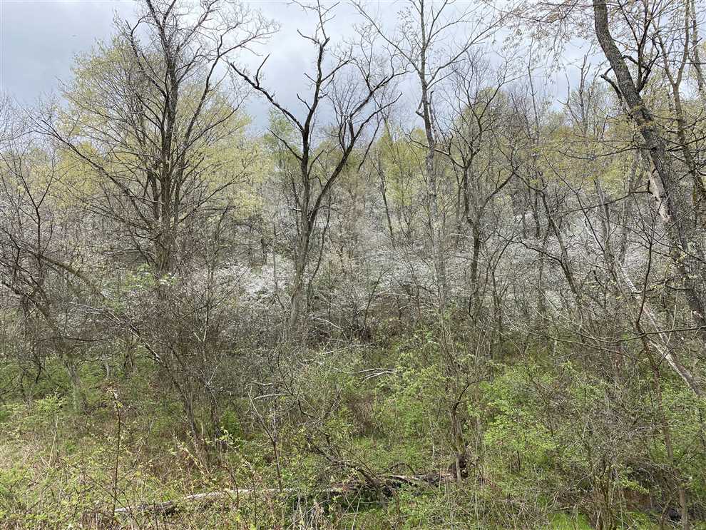 34 Acres of Land for sale in allegheny County, Pennsylvania
