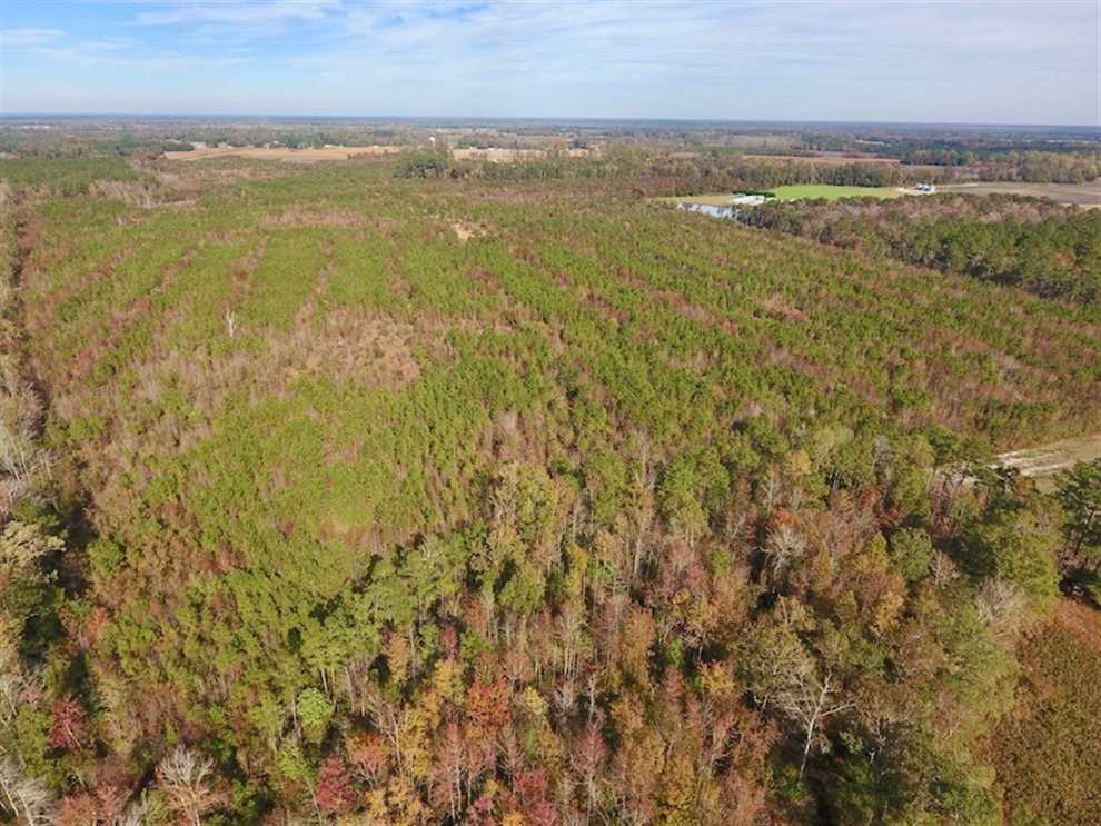 Recreational and   property for sale on The Land Market
