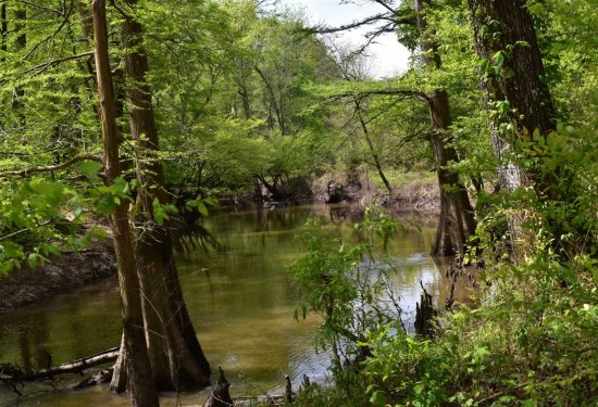 678 Acres of Land for Sale in nevada County Arkansas