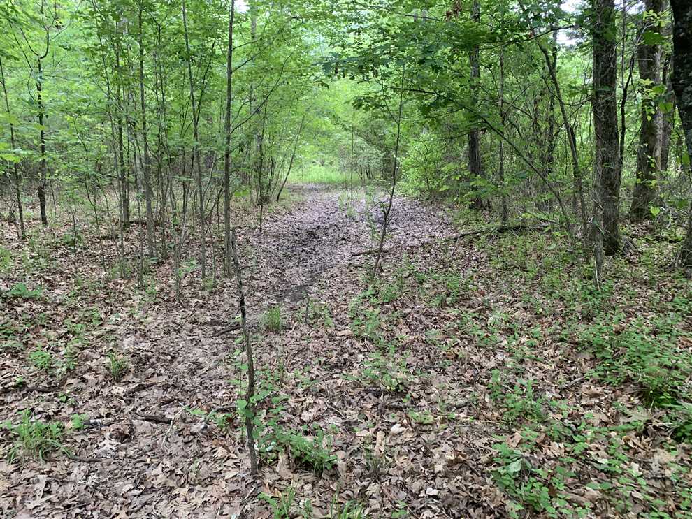 white County, Arkansas property for sale