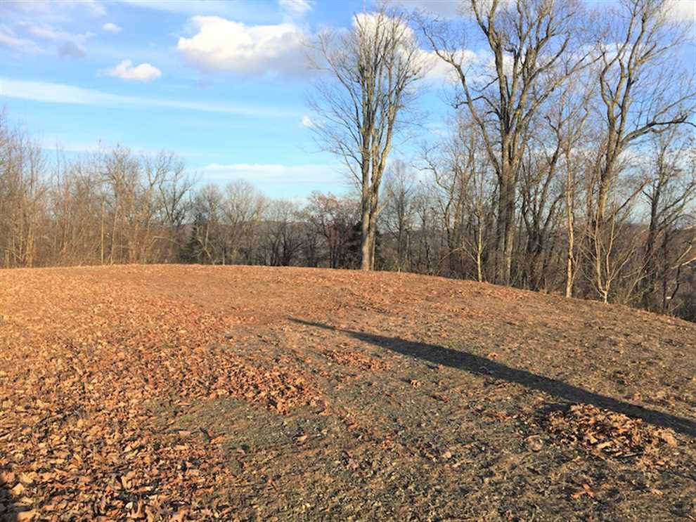 Residential and   property for sale on The Land Market