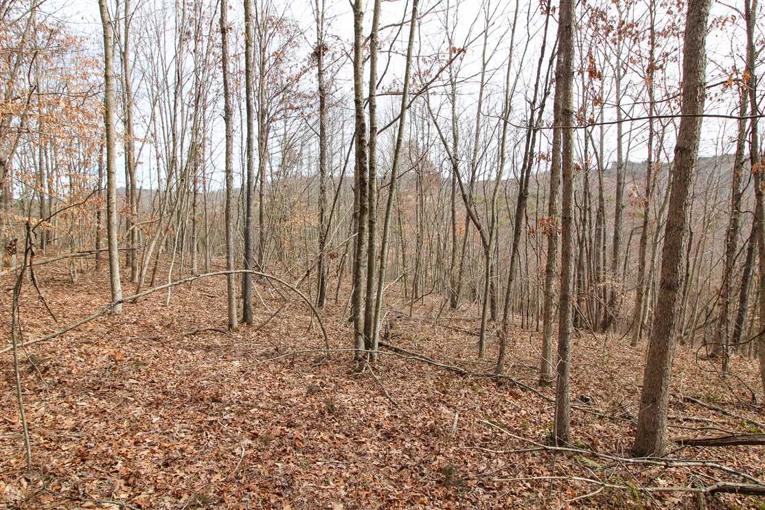 Pumpkintown Rd Tract 2 - 15 acres - Gallia County Real estate listing