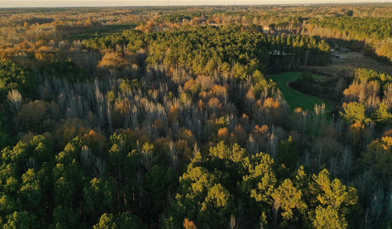 40 Acres of Land for sale in oktibbeha County, Mississippi