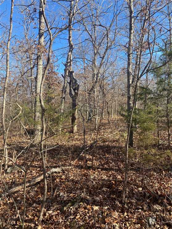55 Acres of Land for sale in benton County, Missouri