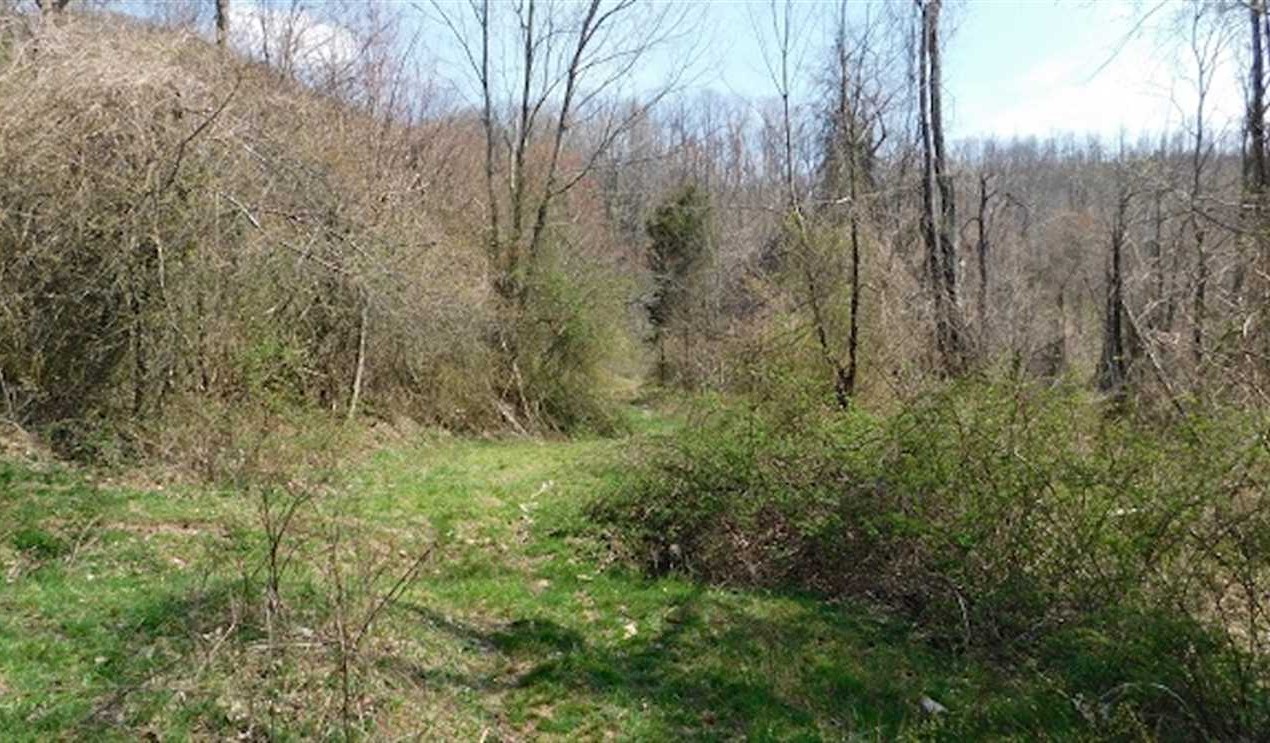 275 acres of Hunting and Recreational Land For Sale in Russell County VA! Real estate listing