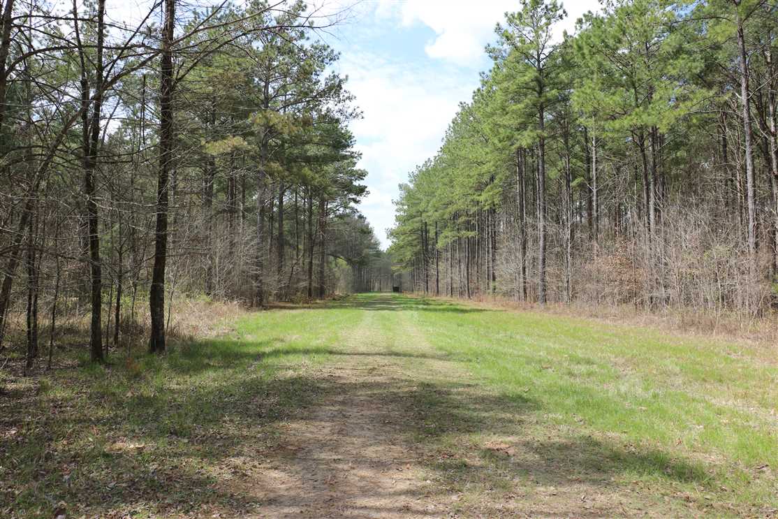 property for sale on The Land Market