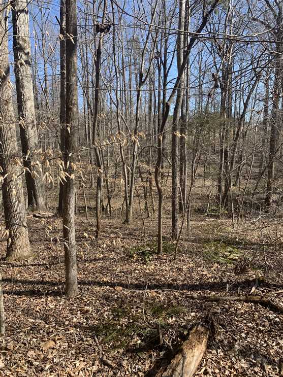 Houses and land for sale in North Carolina