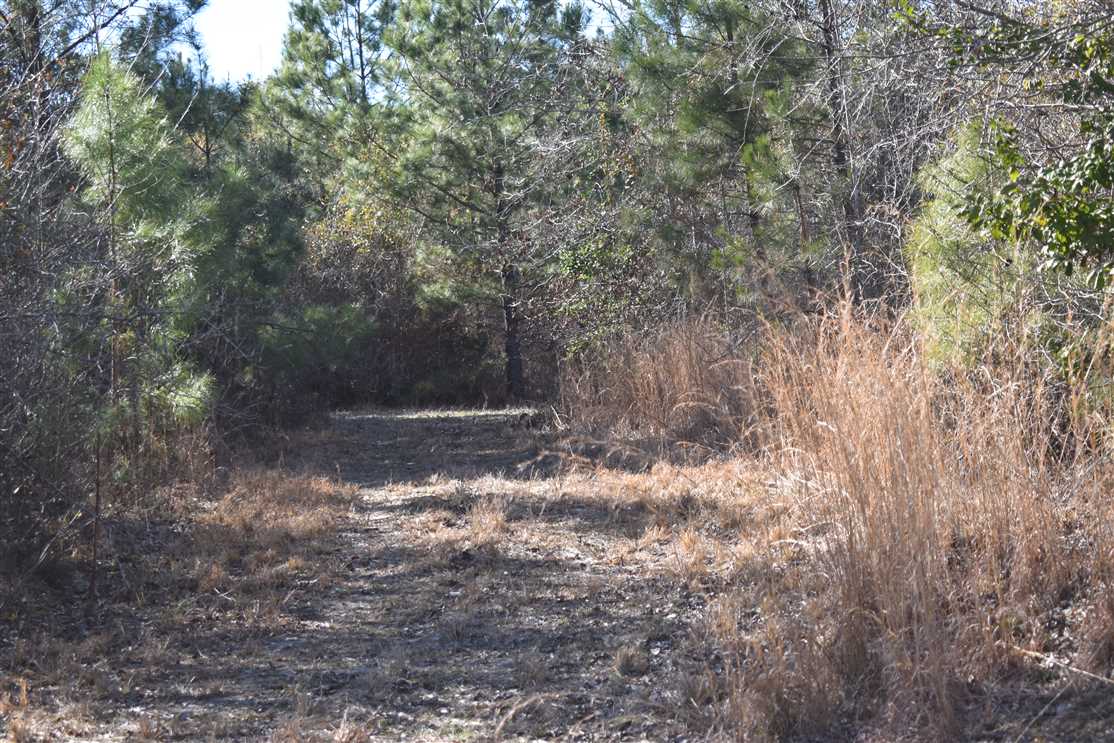 Recreational and   property for sale on The Land Market