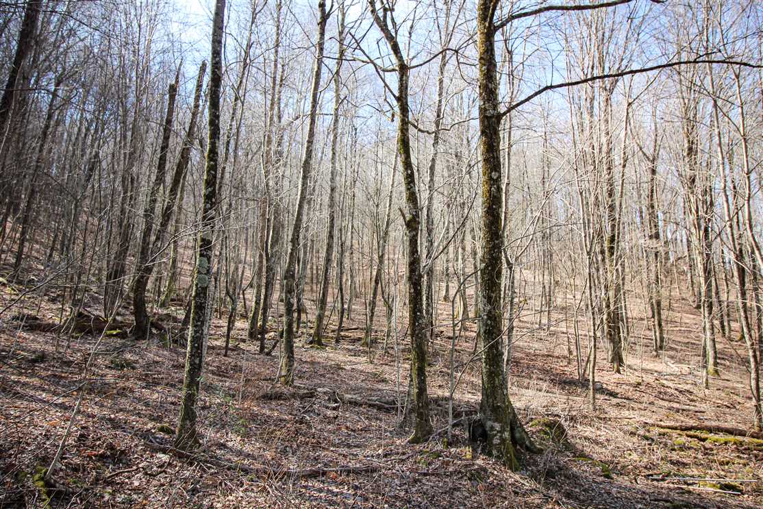 property for sale on The Land Market