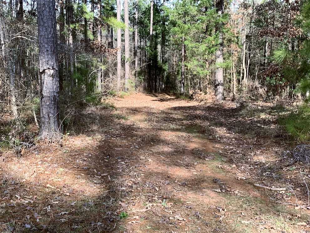 Newsom Road Tract, Webster Parish, 131 Acres +/- Real estate listing