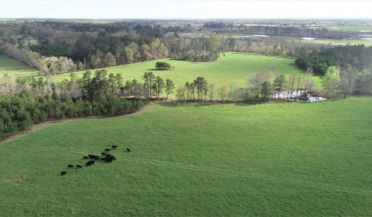 100 Acres of Land for Sale in dodge County Georgia