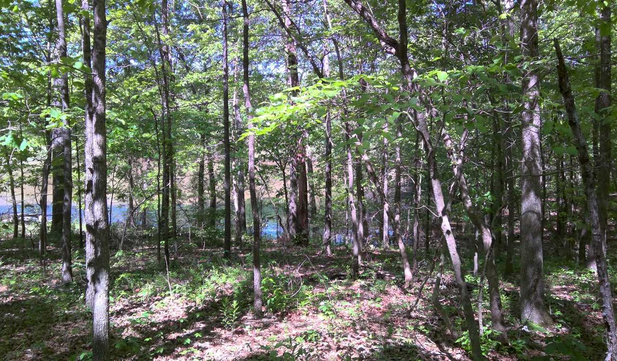 0.57 Acres of Land for Sale in sharp County Arkansas