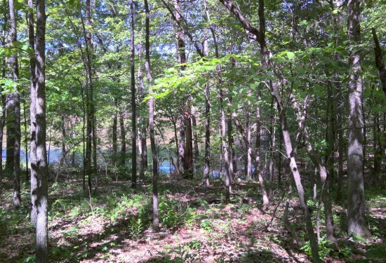0.57 Acres of Land for Sale in sharp County Arkansas