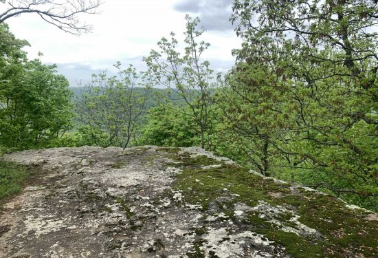 10 Acres of Land for Sale in washington County Arkansas