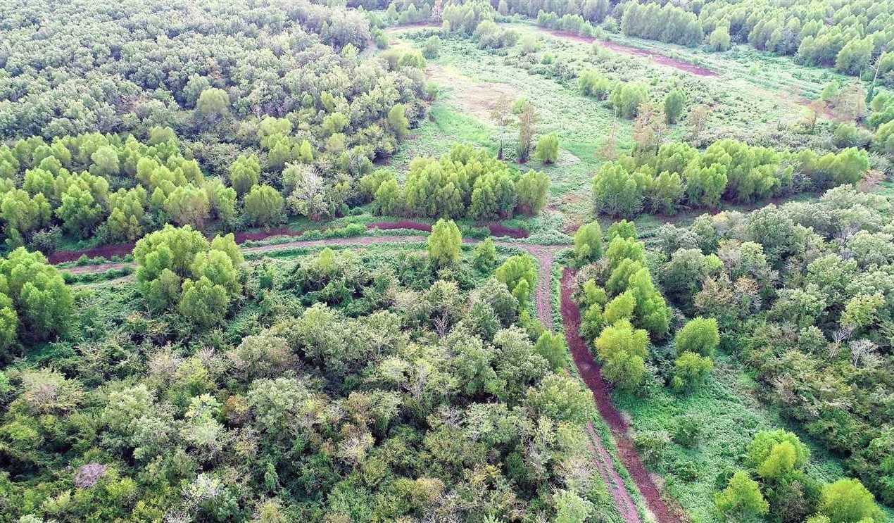 1640 Acres of Land for sale in bossier County, Louisiana