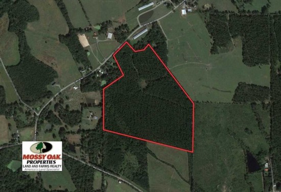 53 Acres of Land for Sale in chatham County North Carolina